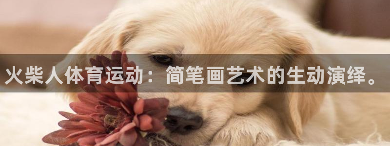 一竞技官方正版app集团简介：火柴人体育运动：简笔画