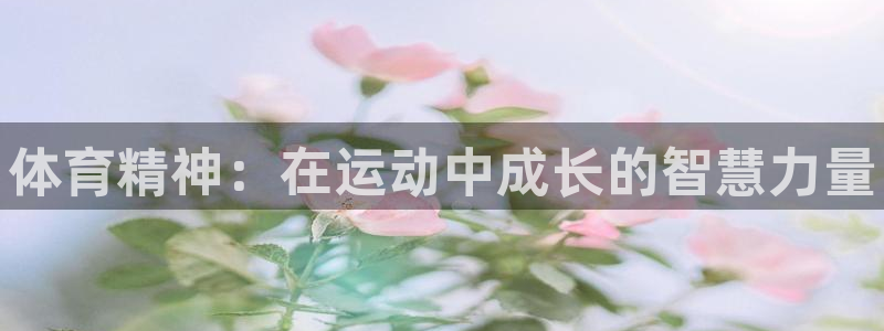 一竞技官方正版app娱乐代理怎么样：体育精神：在运动