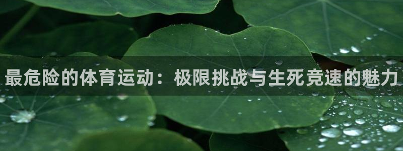 一竞技官方正版app娱乐40996：最危险的体育运动