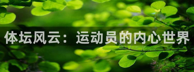 一竞技官方正版app五金厂：体坛风云：运动员的内心世