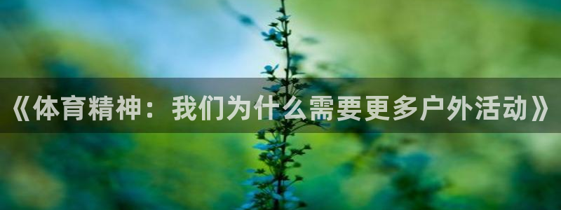 德国一竞技官方正版app集团：《体育精神：我们为什么需要更多