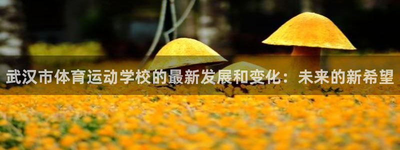 一竞技官方正版app娱乐40996：武汉市体育运动学校的最新