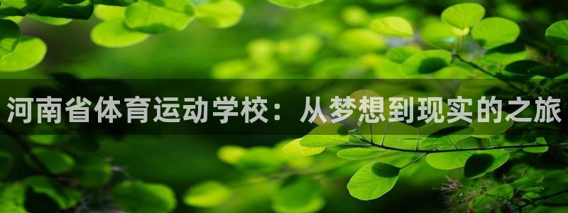 一竞技官方正版app娱乐代理怎么样：河南省体育运动学校：从梦