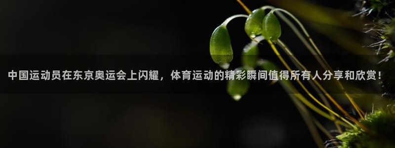一竞技官网下载平台注册：中国运动员在东京奥运会上闪耀