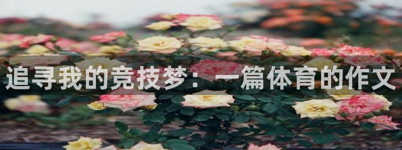一竞技官网下载官方客服电话