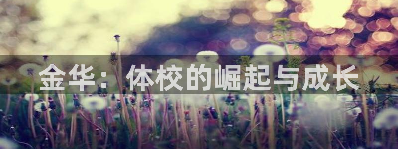 一竞技官方正版app官方：金华：体校的崛起与成长