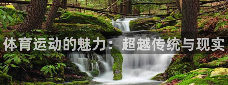 一竞技官方正版app新能源：体育运动的魅力：超越传统