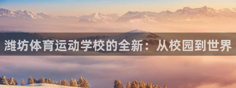 一竞技官方正版app娱乐40996：潍坊体育运动学校