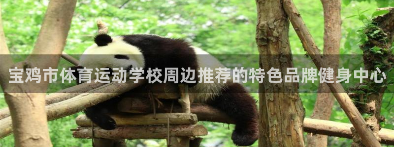 一竞技官网下载招商电话是多少号码：宝鸡市体育运动学校