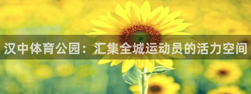 一竞技官网下载平台是正规平台吗：汉中体育公园：汇集全