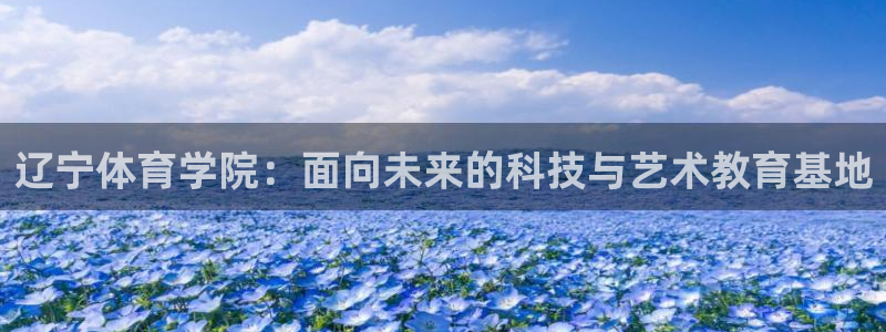 海南一竞技官网下载：辽宁体育学院：面向未来的科技与艺术教育基