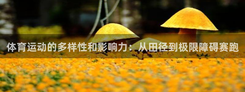 一竞技官网下载招商