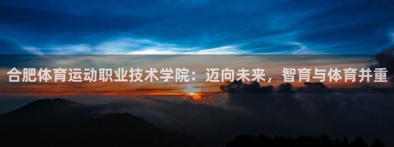 一竞技网页版入口：合肥体育运动职业技