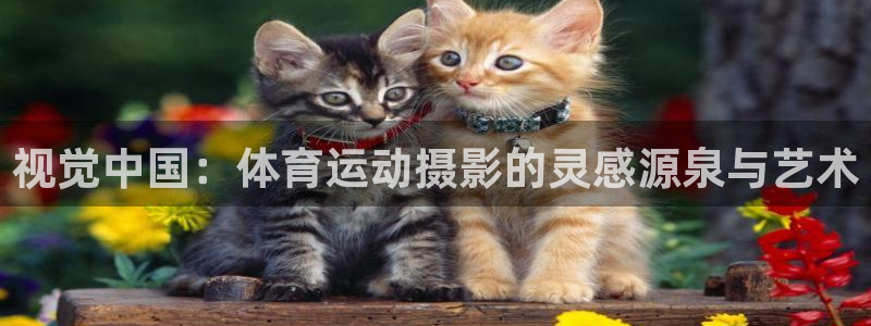 一竞技官网APP：视觉中国：体育运动