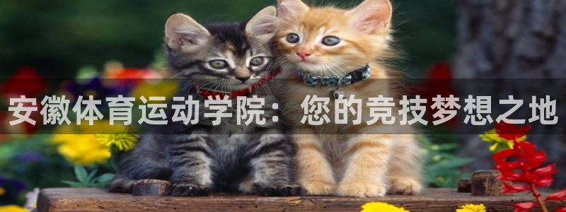一竞技官网测速：安徽体育运动学院：您