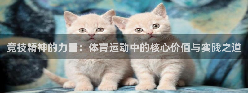一竞技网站：竞技精神的力量：体育运动