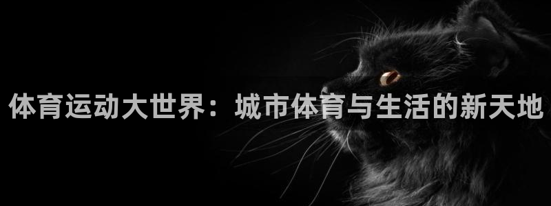 一竞技app官方网站：体育运动大世界
