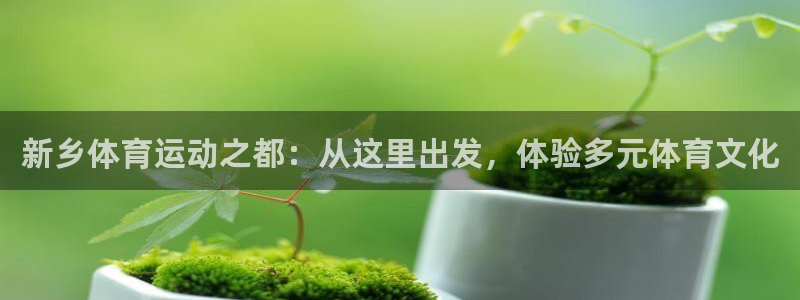 一竞技平台是杂牌吗：新乡体育运动之都