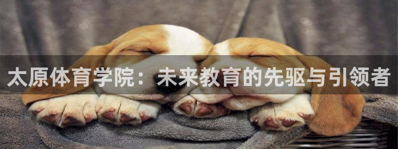 一竞技游戏登录入口：太原体育学院：未