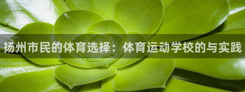 一竞技dota2：扬州市民的体育选择
