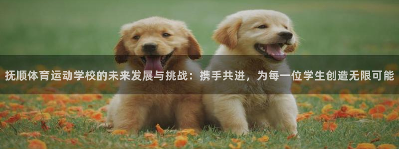  一竞技测速网站填什么：抚顺体育运动学校的未来发展与挑战：携手