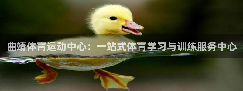  一竞技平台是正规软件吗：曲靖体育运动中心：一站式体育学习与训