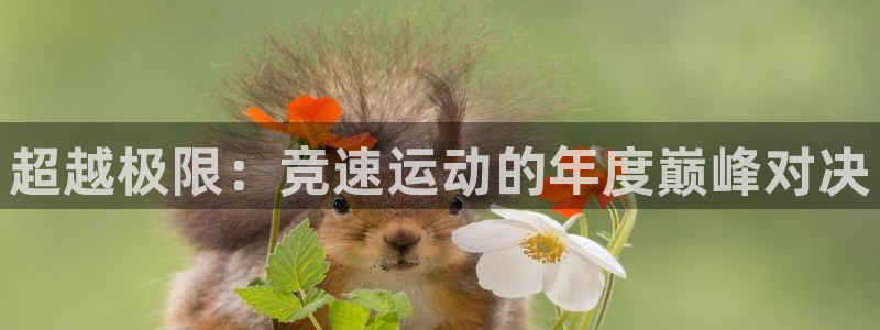 一竞技官网下载平台是正规平台吗：超越极限：竞速运动的年度巅峰