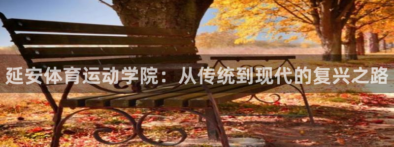 一竞技官方正版app官方：延安体育运动学院：从传统到现代的复